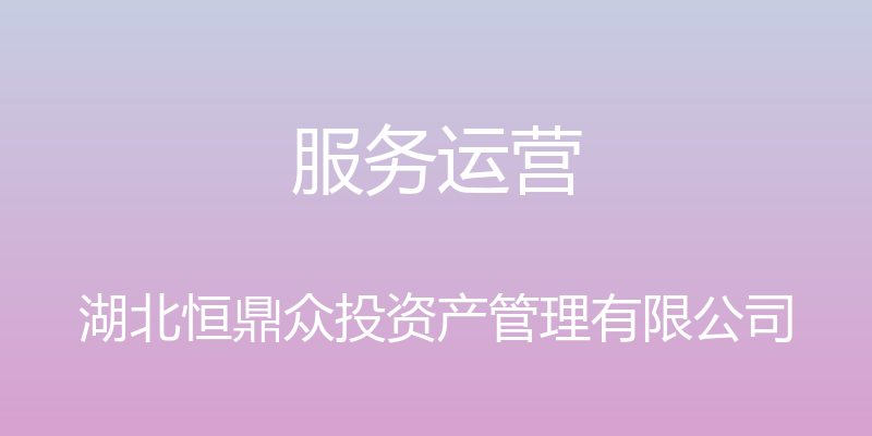 服务运营 - 湖北恒鼎众投资产管理有限公司