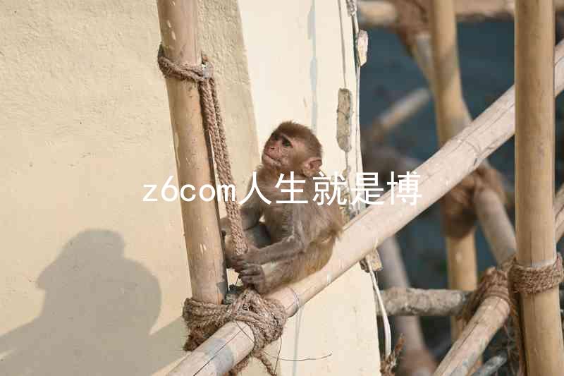 z6com人生就是博